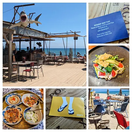 Marina Des Anges Entre Et Etangs Avec Piscine 펜션 르발카레스